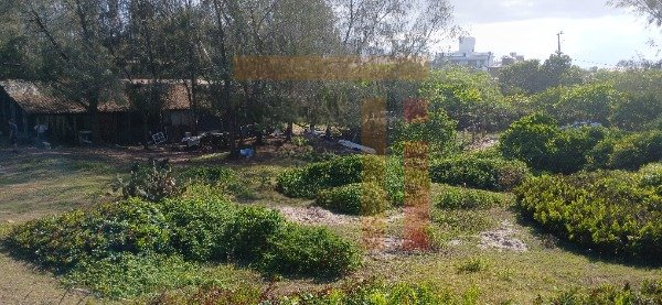 Imagem da propriedade 6150 10